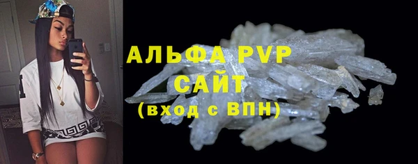 PSILOCYBIN Белокуриха