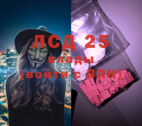 эйфоретик Баксан