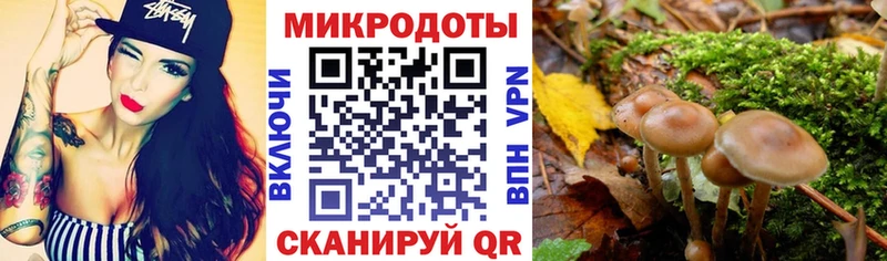 Псилоцибиновые грибы ЛСД  Вятские Поляны 